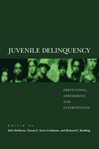 Cover image for Juvenile Delinquency: Prevention, Assessment, and Intervention