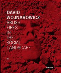 Cover image for David Wojnarowicz: Brush Fires in the Social Landscape