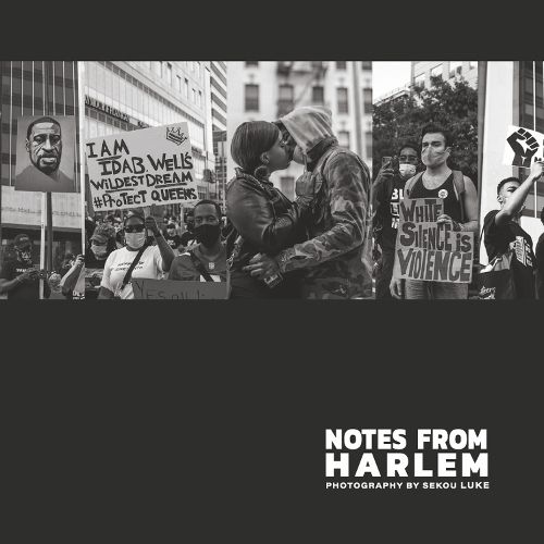 Cover image for Notes from Harlem