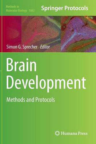 Brain Development: Methods and Protocols