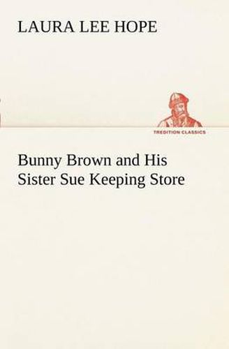 Cover image for Bunny Brown and His Sister Sue Keeping Store