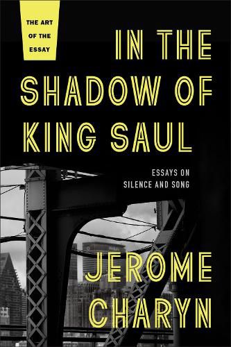 Cover image for In the Shadow of King Saul: Essays on Silence and Song