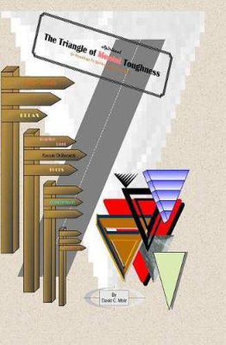 Cover image for The Triangle of Spiritual Toughness: A Roadmap To Spiritual Survival