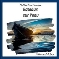 Cover image for Bateaux sur l'eau