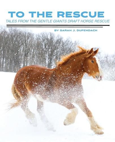 Cover image for To the Rescue: Tales from the Gentle Giants Draft Horse Rescue