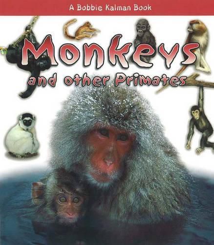 Monkeys and Other Primates