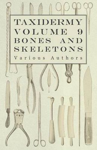 Taxidermy Vol.9 Bones and Skeletons - The Collection, Preparation and Mounting of Bones