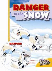 Cover image for Danger in the Snow
