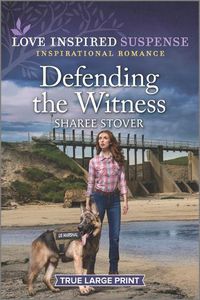 Cover image for Defending the Witness