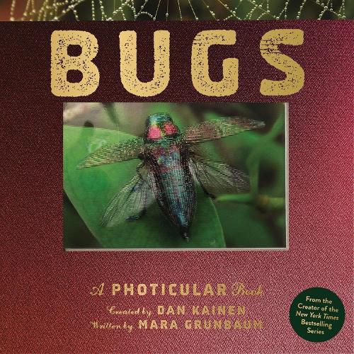 Cover image for Bugs