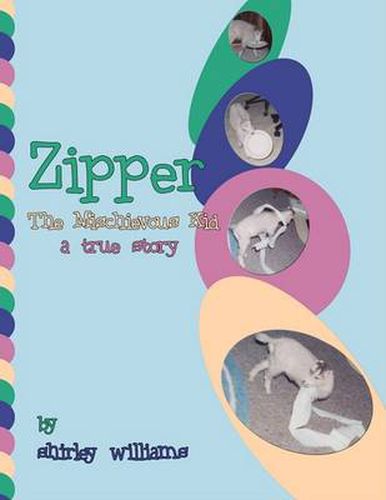 Cover image for Zipper - The Mischievous Kid