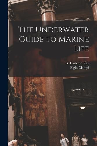 Cover image for The Underwater Guide to Marine Life