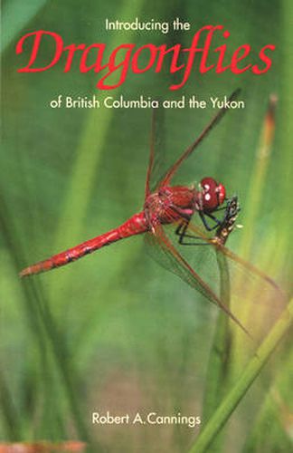 Cover image for Introducing the Dragonflies of British Columbia and the Yukon