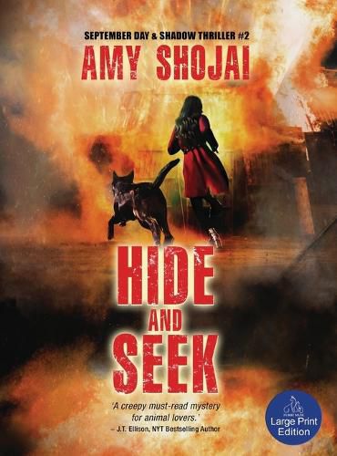 Cover image for Hide And Seek