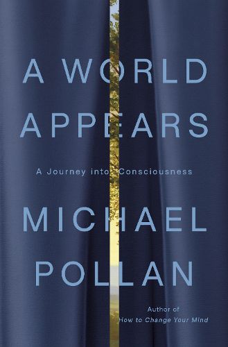 Cover image for A World Appears