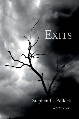 Cover image for Exits