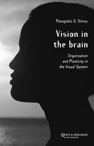 Cover image for Vision in the Brain