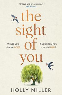 Cover image for The Sight of You: An unforgettable love story and Richard & Judy Book Club pick