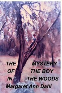 Cover image for The mystery of the boy in the Woods