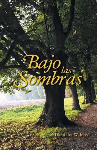 Cover image for Bajo las sombras