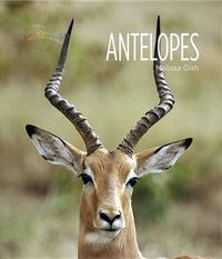 Cover image for Antelopes