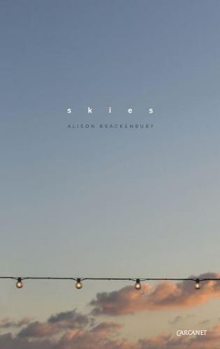 Cover image for Skies