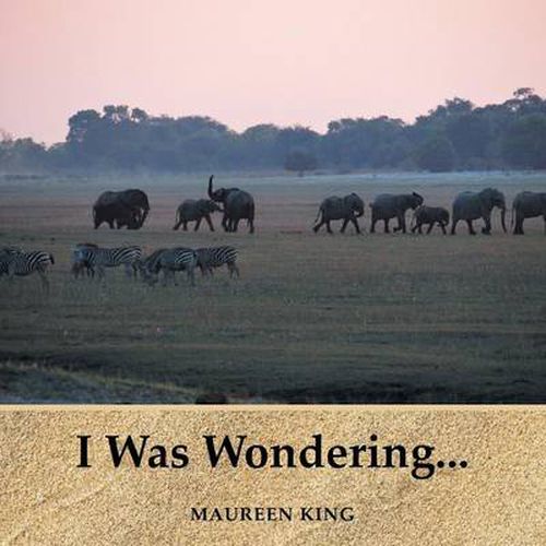 Cover image for I Was Wondering...