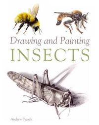 Cover image for Drawing and Painting Insects