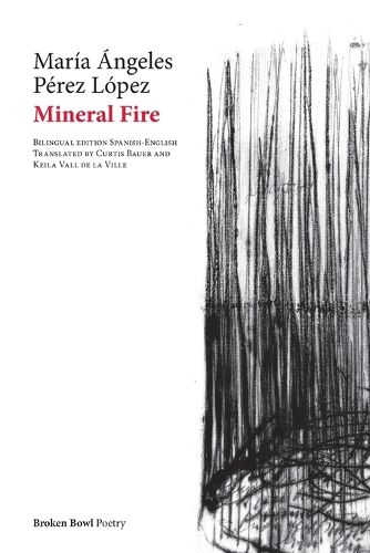 Cover image for Mineral Fire