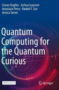 Cover image for Quantum Computing for the Quantum Curious