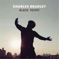 Cover image for Black Velvet (Vinyl)