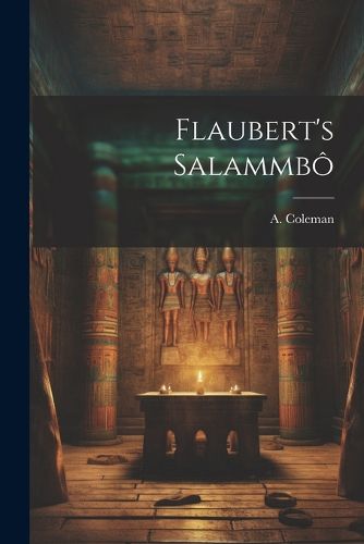 Cover image for Flaubert's Salammbo