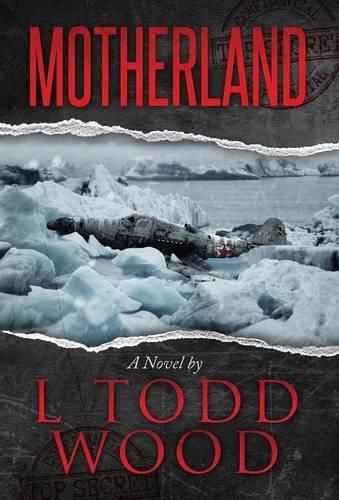 Cover image for Motherland