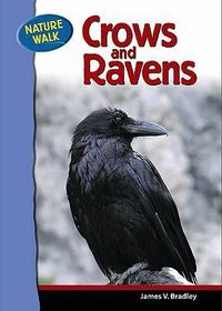 Cover image for Ravens and Crows