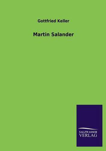 Cover image for Martin Salander