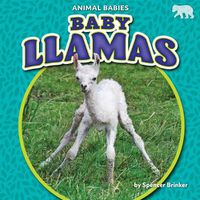 Cover image for Baby Llamas