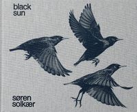 Cover image for S?ren Solk?r: Black Sun