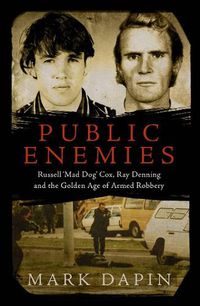 Cover image for Public Enemies
