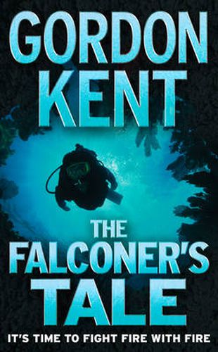 Cover image for The Falconer's Tale