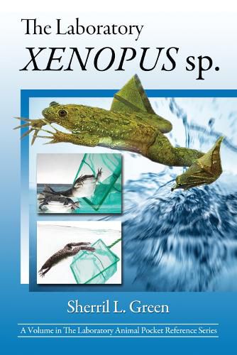 Cover image for The Laboratory Xenopus sp.