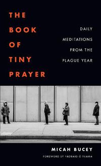 Cover image for The Book of Tiny Prayer: Daily Meditations from the Plague Year