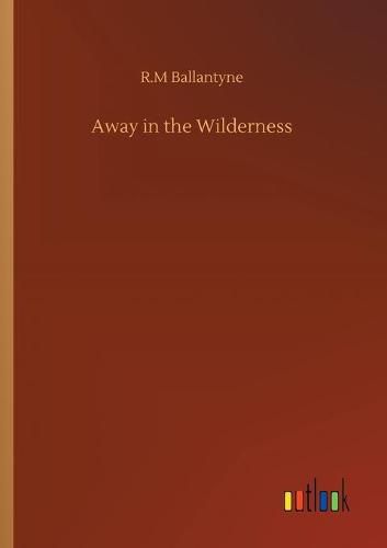 Cover image for Away in the Wilderness