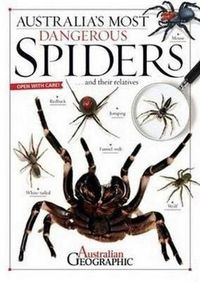 Cover image for Australia's Most Dangerous: Spiders