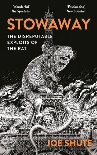 Cover image for Stowaway