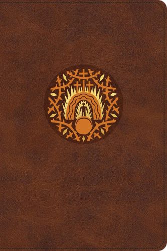 Cover image for The Biggest Story Holy Bible for Kids (TruTone, Brown, Living Hope Design, Indexed)