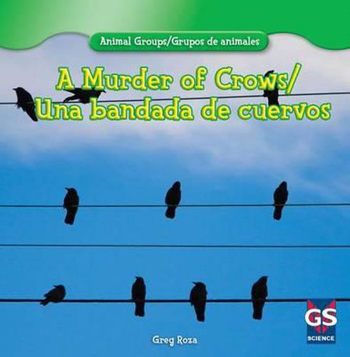 A Murder of Crows/Una Bandada de Cuervos