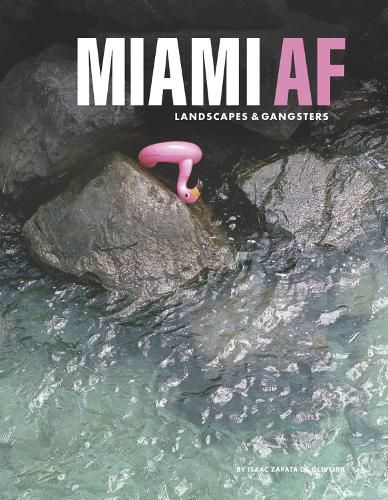 Cover image for Miami AF