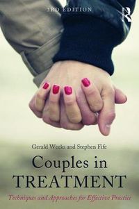 Cover image for Couples in Treatment: Techniques and Approaches for Effective Practice
