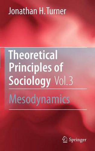 Cover image for Theoretical Principles of Sociology, Volume 3: Mesodynamics