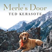 Cover image for Merle's Door